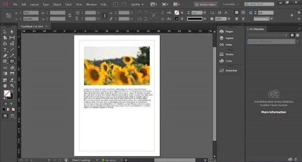 Adobe InDesign 2024 v195