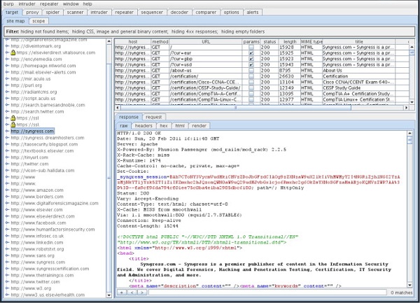 Burp Suite Professional 2024.6