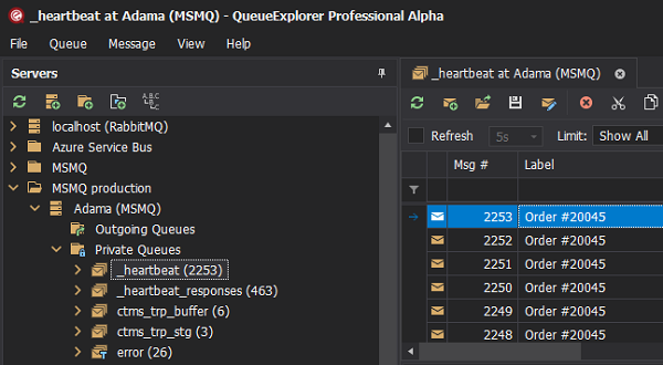 Cogin QueueExplorer Pro for PC