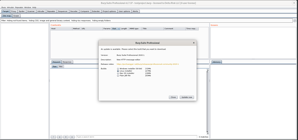 Download Burp Suite Professional 2024.6