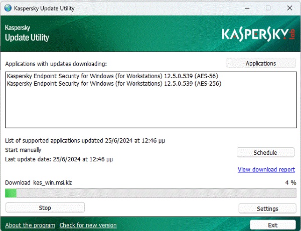 Download Kaspersky Offline Update 2024