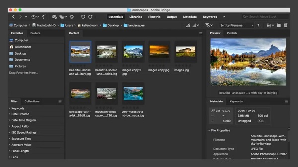 Adobe Bridge 2024 v141