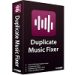 Duplicate Music Fixer for PC