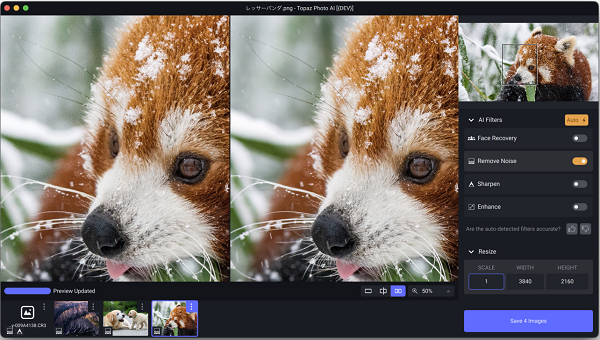 Topaz Photo AI for PC