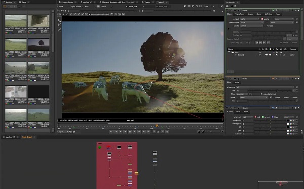 The Foundry Nuke Studio 16