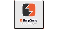Burp Suite Professional 2025
