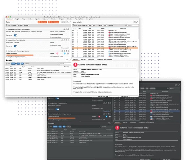 Burp Suite Professional Burp Suite Professional