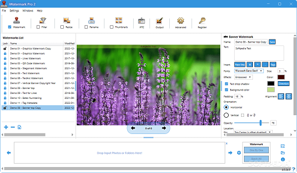 Download iWatermark Pro 2 Portable Download iWatermark Pro 2 Portable