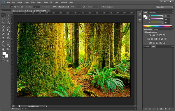 Adobe Photoshop CS6 free download for Windows 10 64-bit Adobe Photoshop CS6 free download for Windows 10 64-bit